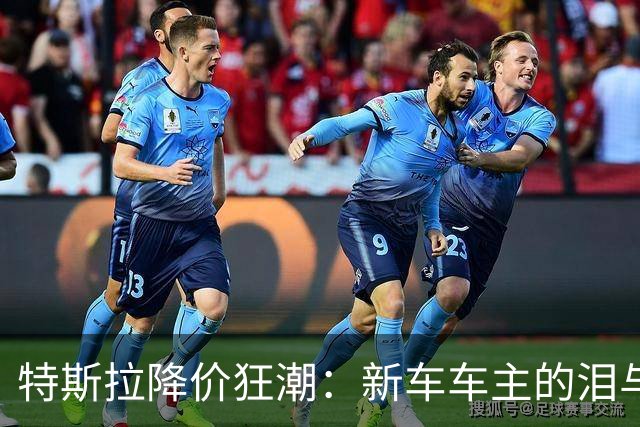 特斯拉降价狂潮：新车车主的泪与笑